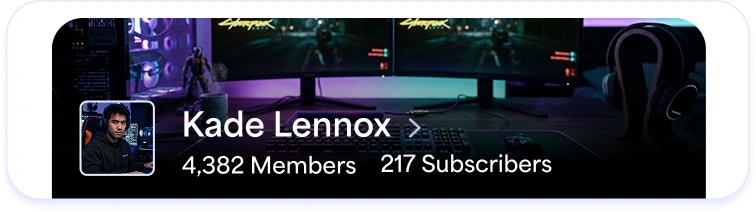 Profile preview