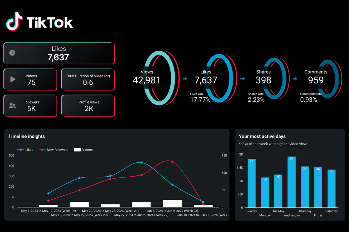 monitor your tiktok analytics metrics