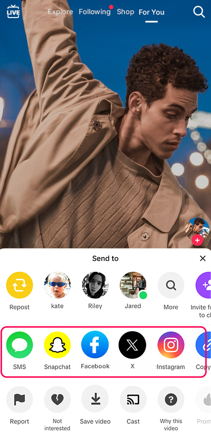 promote across social media platforms