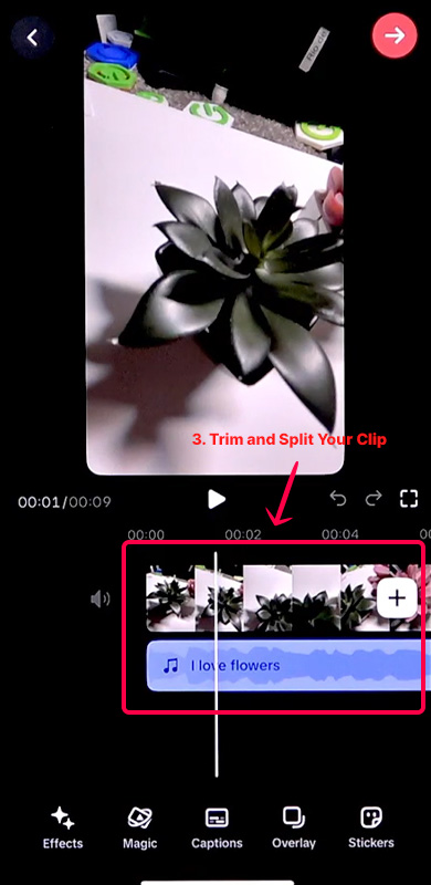 trim and split your clips