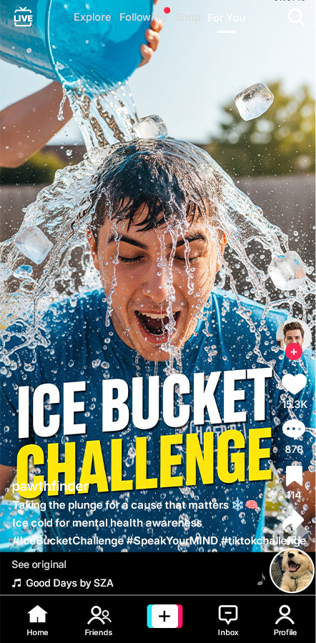 participate in tiktok challenges