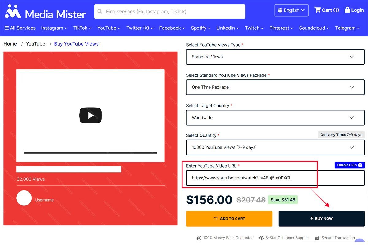 enter your youtube video url enter your youtube video url