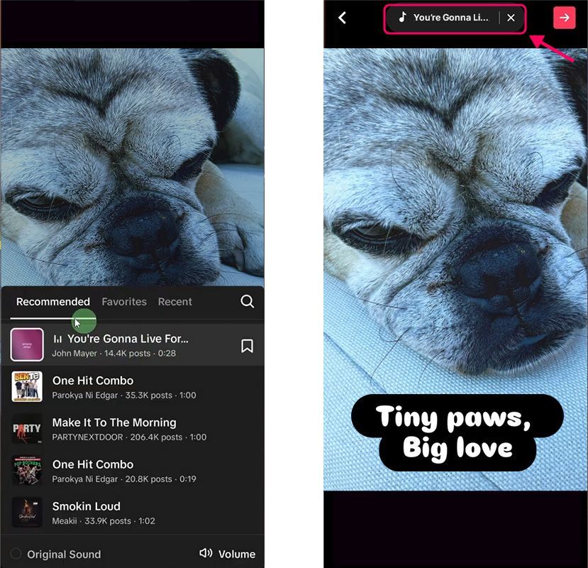 add music and text add music and text