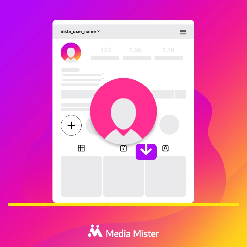 Téléchargeur de photos de profil Instagram gratuit Media Mister