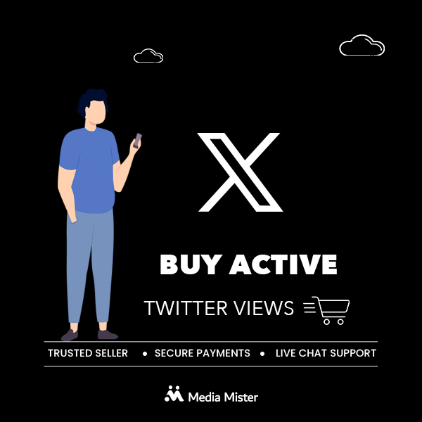 buy active twitter views