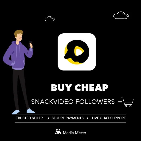 buy cheap snackvideo followers