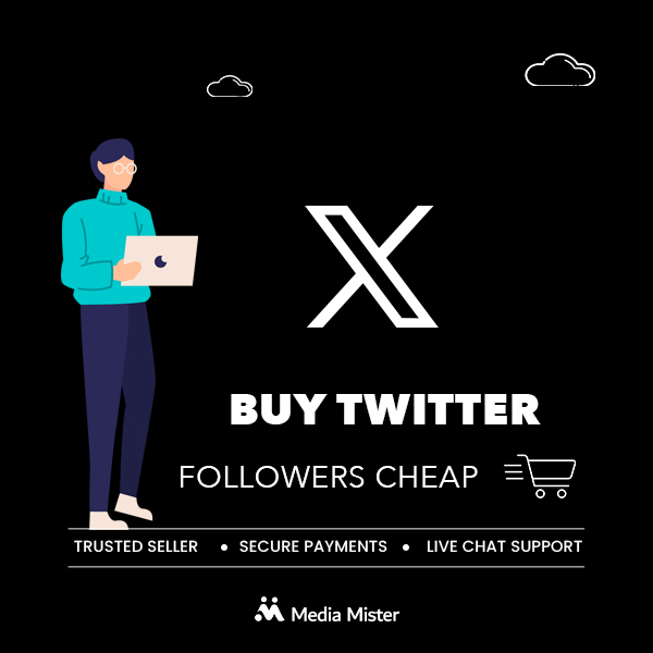 buy twitter followers cheap
