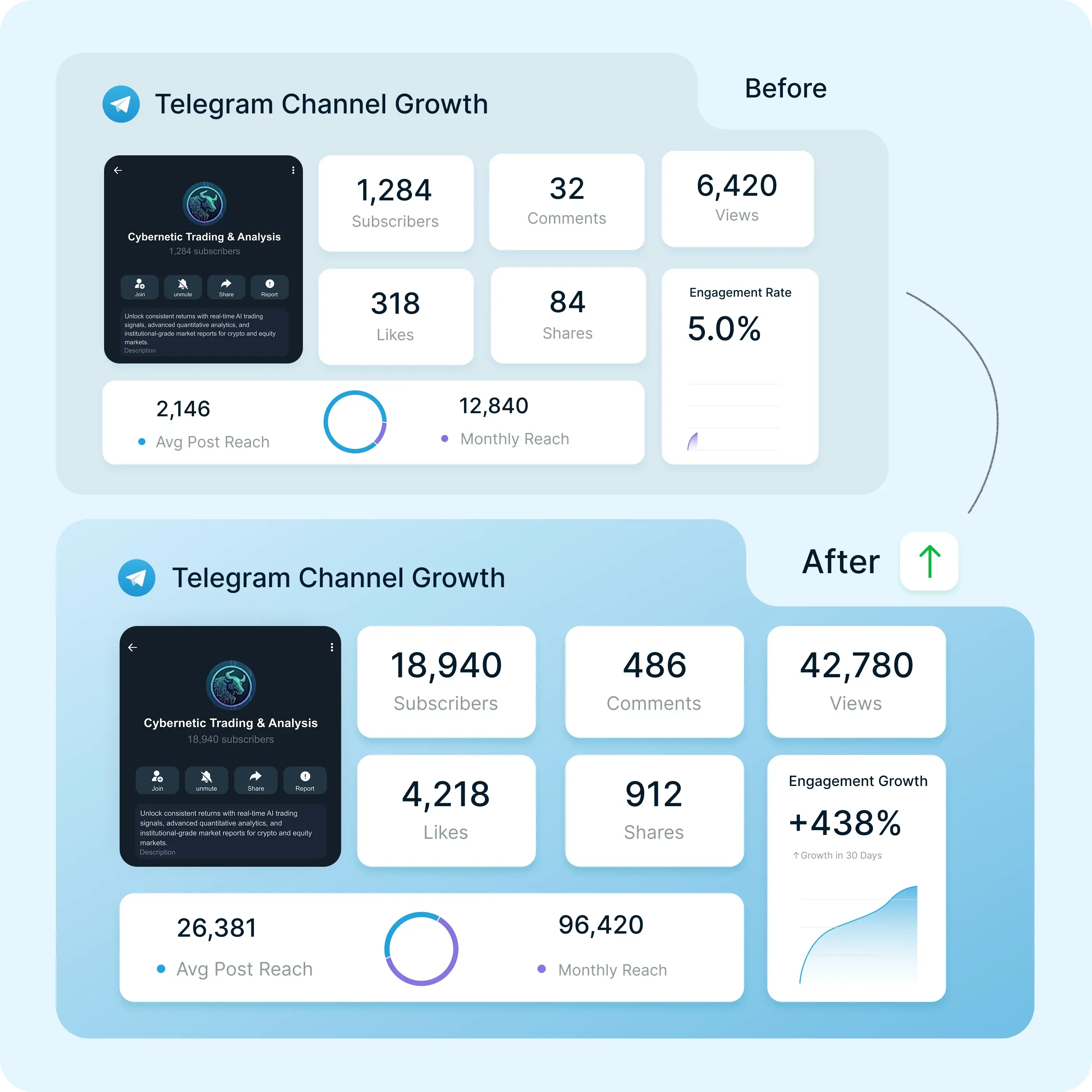 Telegram Channel Growth Service