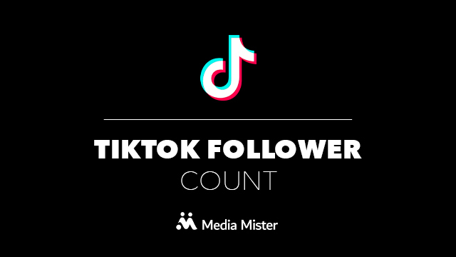 Live TikTok Follower Count Checker | Media Mister
