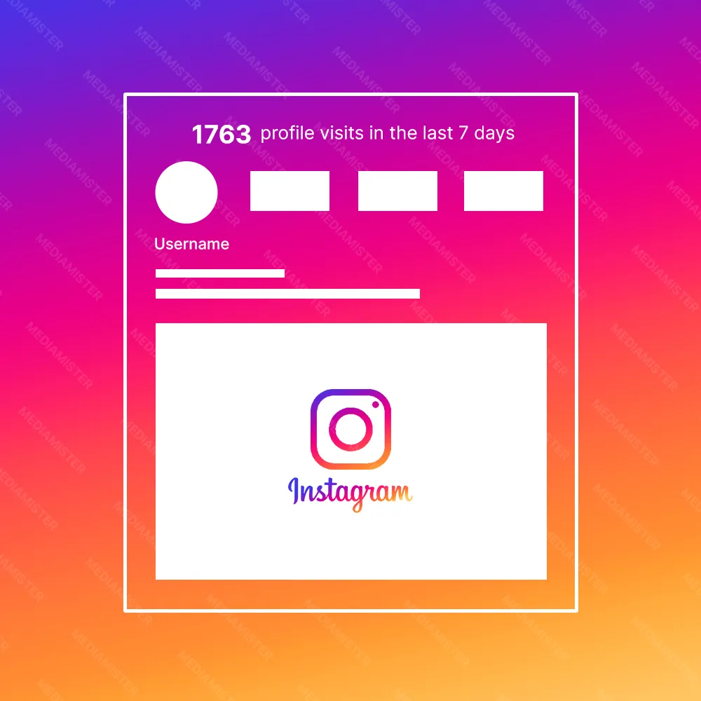 Instagram Profile Visits